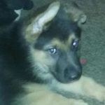 Margaret Goranson - @margaret.goranson.58 - Instagram