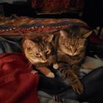 Margaret Gott - Facebook
