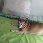 Margaret Gott - Facebook