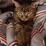Margaret Gott - @mgottme - Instagram
