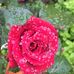 Margaret Grinter - Facebook