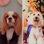 Margaret&Harry - @margaret_harry_ - Instagram