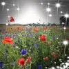 Margaret Heitzmann - @margaret.heitzman - TikTok