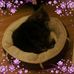 Margaret Hendrickson - Facebook