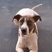 Margaret Holburt - Facebook