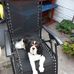 Margaret Holroyd - Facebook