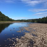 Margaret Holroyd - @holroydmargaret - Instagram