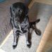 Margaret Hooker - Facebook