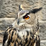 Margaret Hooker - @margarethooker57 - Instagram