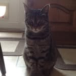 Margaret Howells - @howells9098 - Instagram