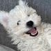 Margareth Hubert - Facebook