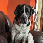 Margaret Hulse - @mhulse2 - Instagram