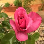 Margarethe Jansen - @margarethejansen - Instagram