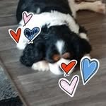 Margaret Jones - @margaretpamelajones - Instagram