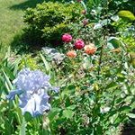 Margaret Joyner - @mjoyner40 - Instagram