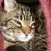Margaret Kehoe - Facebook
