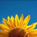 Margarete Kieser - Facebook