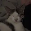 kileymargaret - @kileymargaret - TikTok