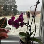 Margaret Budd-Kilpatrick - @nobreakz07 - Instagram