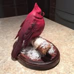 Margaret Kizer - Facebook