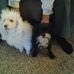 Margaret Knutson - Facebook