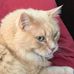Marge Knutson - Facebook