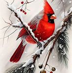 Margaret Lander - Facebook