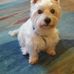Margaret Lapp - Facebook