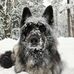 Margaret Large - Facebook