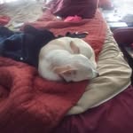 Margaret Lassiter - @lassiter9585 - Instagram