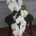 Margaret Lassiter - Facebook