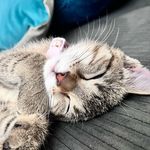 Maggie - @_margaretlavender - Instagram