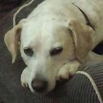Margaret DuPre Lavender - @lavendermargaret - Instagram