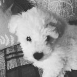 Margaret Layden - @maggie_a13 - Instagram