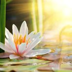 Margaret Layden - Facebook