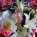 Margaret Leitch - Facebook