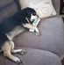 Margaret Libby - Facebook