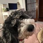 Margaret Lipscombe - @lipscombe.margaret - Instagram