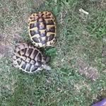 Margaret Lipscombe - @margaretlipscombe - Instagram