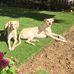 Margaret Lowden - Facebook