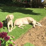 Margaret Lowden - @mags_lowden - Instagram