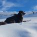 Maggie Lyness - Facebook