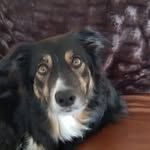 Roger Margaret Mabey - @rogermargaretmabey - Instagram