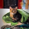 Margaret McEachern - knitter - @knitpickerspei - TikTok