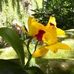 Margaret Maines - Facebook