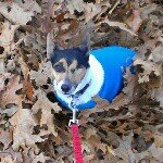 Margaret Dorothy Mantooth - @maggieonthemove - Instagram