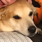Margaret Marek Iler - @maggie_iler - Instagram