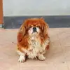 margaretmaresca - @margaretmaresca - TikTok