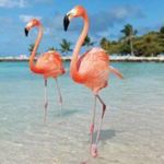Margaret Mattern - @margaret_mattern - Instagram
