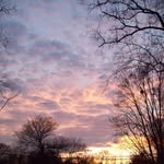 Margaret Mayers - @margaret.mayers.41 - Instagram